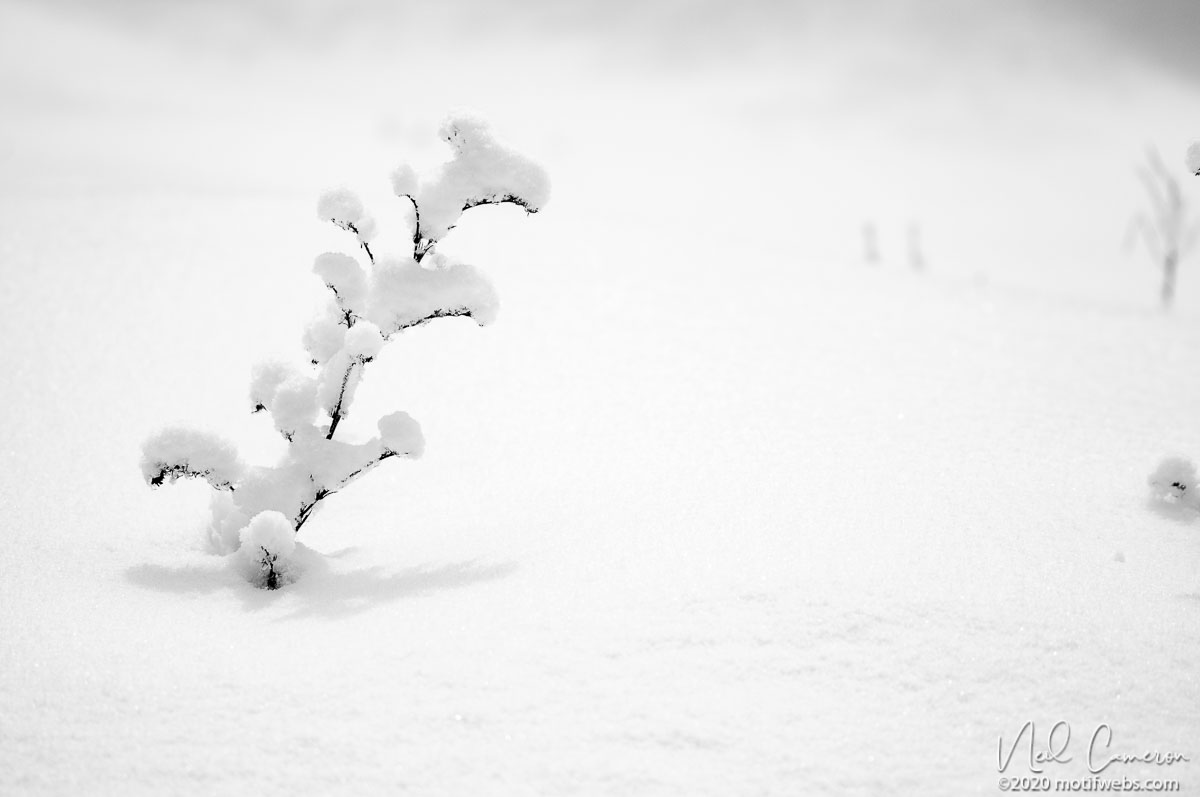 Snowbound, Mud Lake, Ottawa