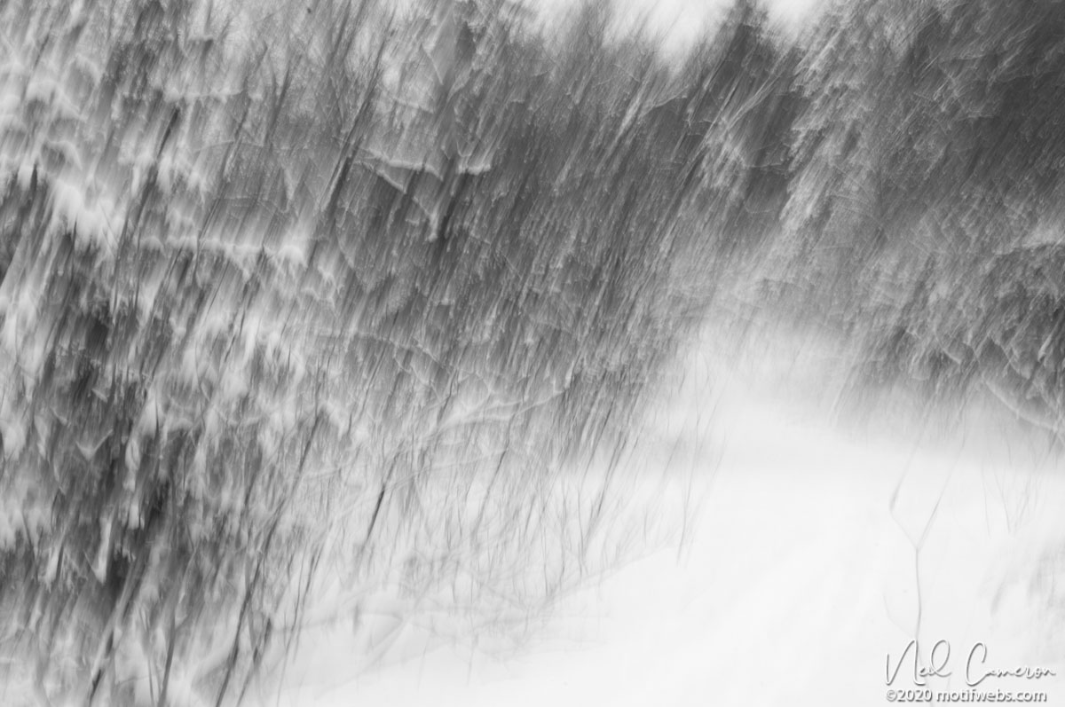 Falling Snow, Hogs Back, Ottawa