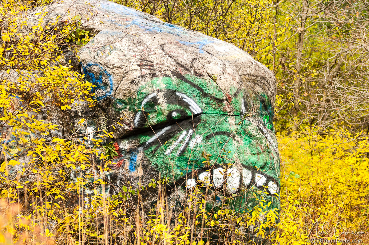 Rock Art, Mud Lake, Ottawa