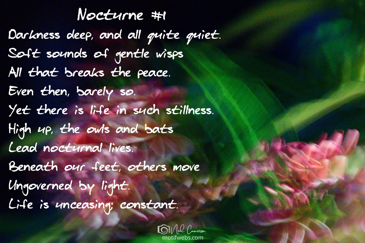 Poem titled 'Nocturne #1'