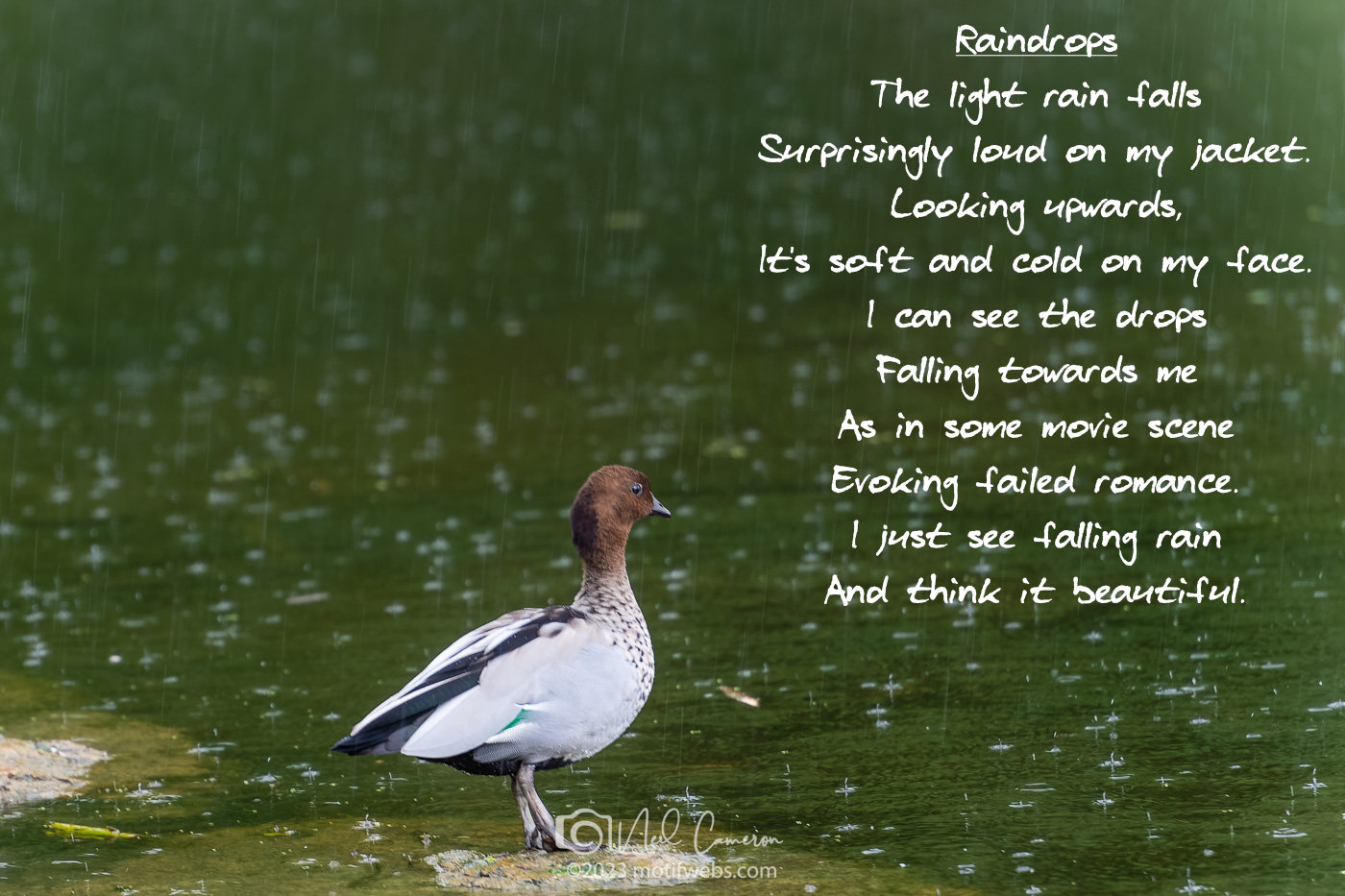 Poem titled 'Raindrops'