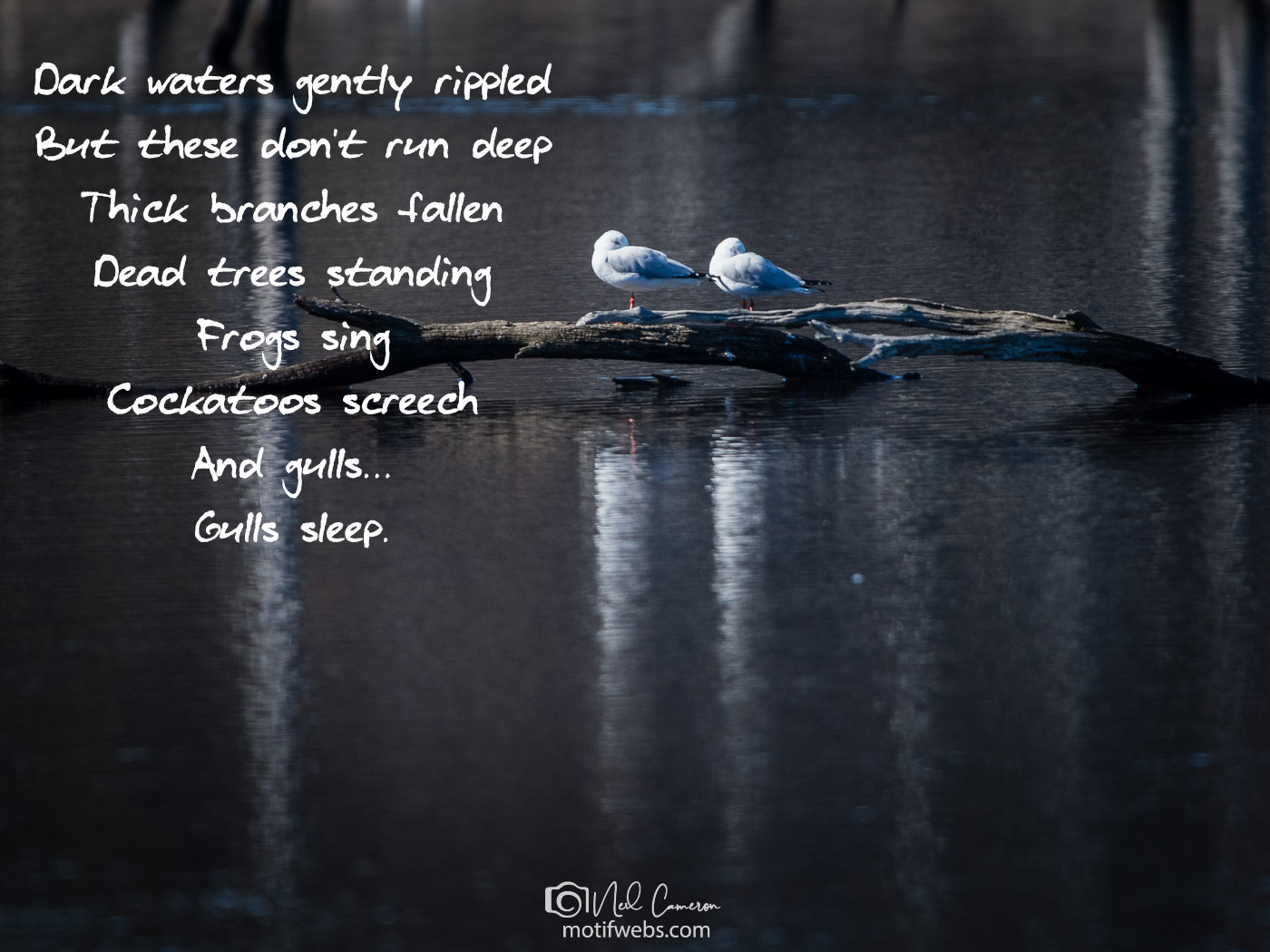 Poem titled 'Dark Waters'