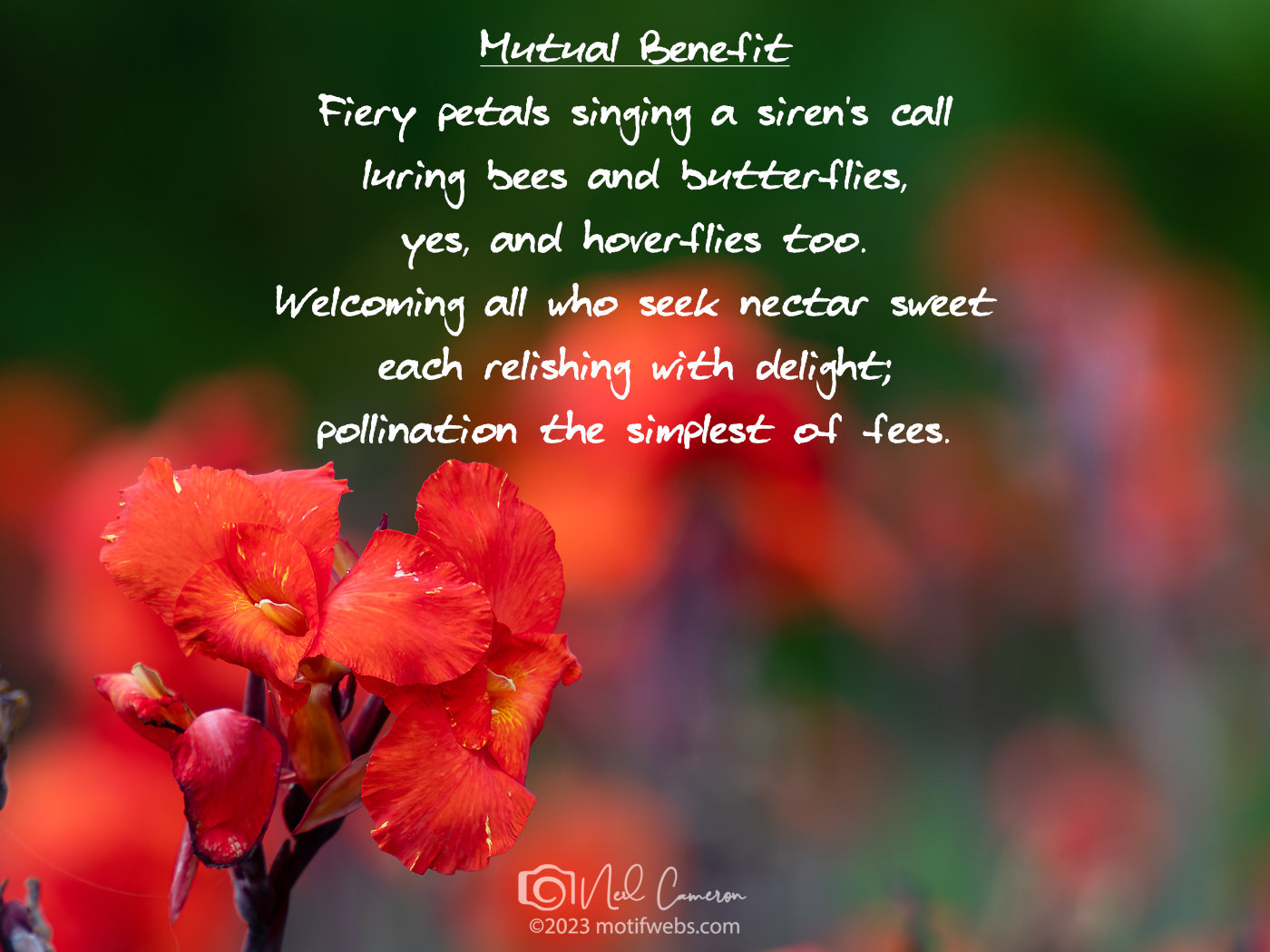 Poem titled 'Mutual Benefit'