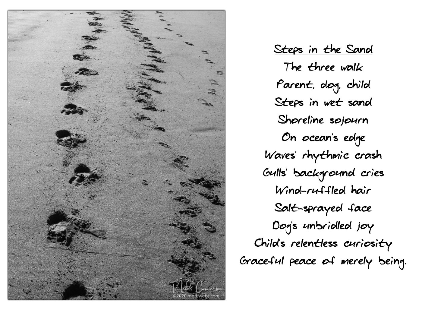 Poem titled 'Steps in the Sand'