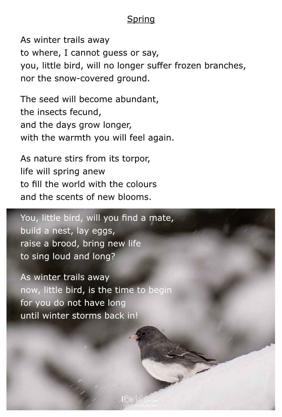 Poem titled 'Spring'