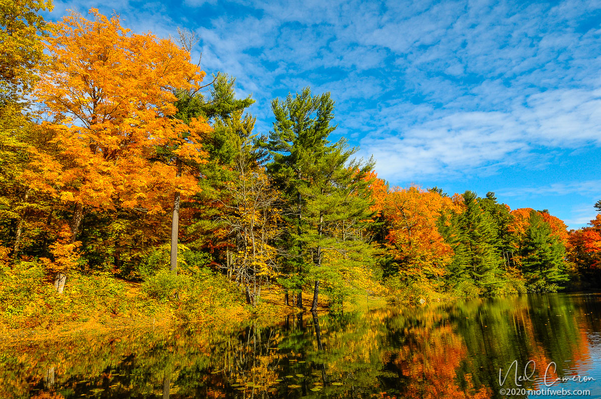 Gatineau Park, Quebec, Canada