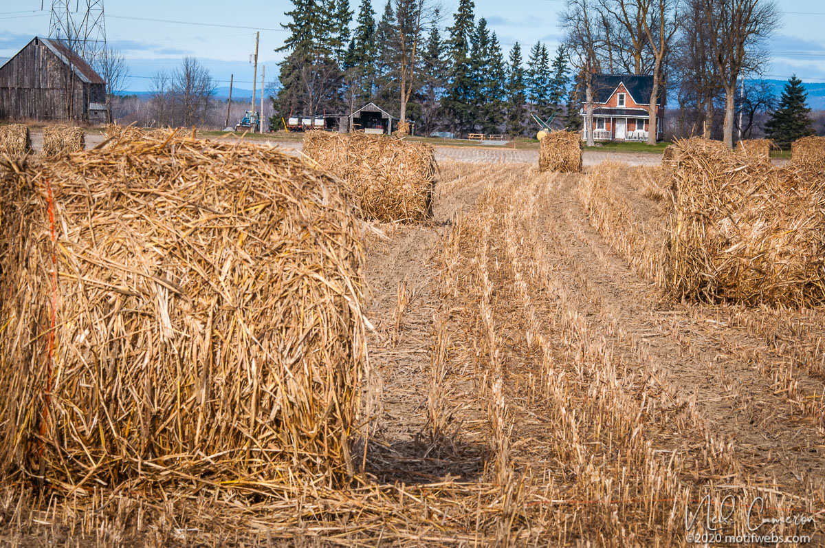 Old Quarry, Ottawa, Canada