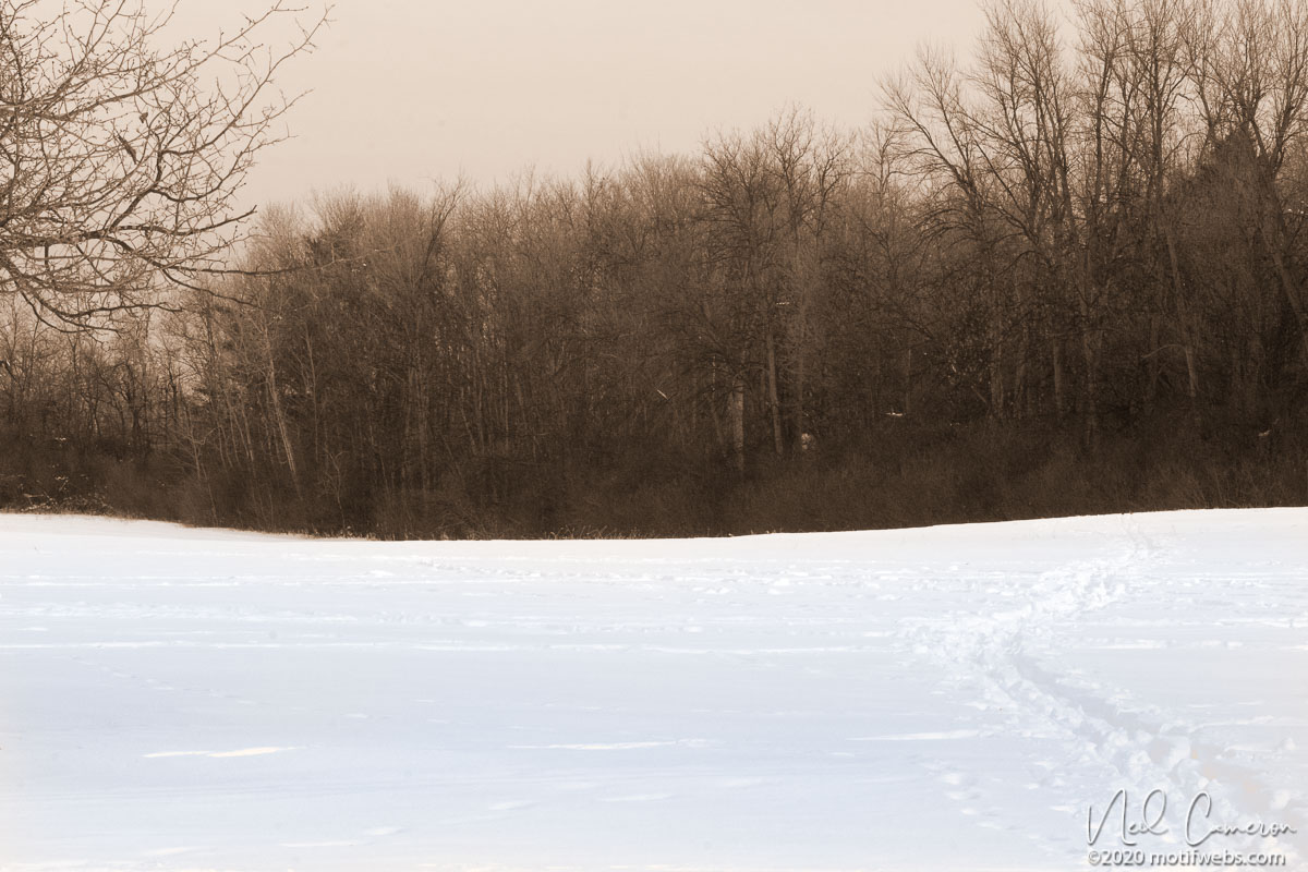 Hogsback, Ottawa, Canada