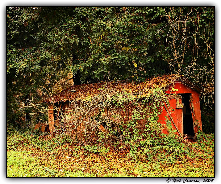 The Red Shed, Corralitos, California, USA